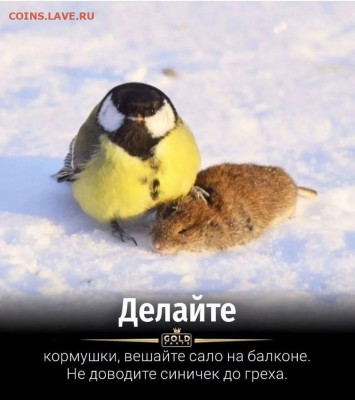 Юмор - n_jRr5G8-8U