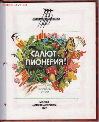 САЛЮТ, ПИОНЕРИЯ! 1987 г. до 08.12.23 в 23.00 - 029