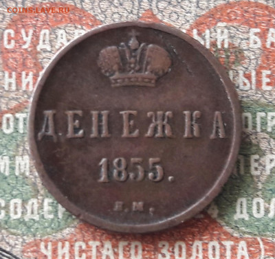 денежка 1855 ЕМ. Н1.  до 05.12.23.  22.00 мск - 20231130_164110