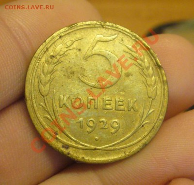 5 копеек 1929 года До 08.01.12 в 22.00 по мск - P1190867.JPG