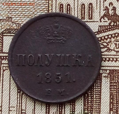 полушка 1851 до 05.12.23 в 22.00 по Москве - 20231202_133356