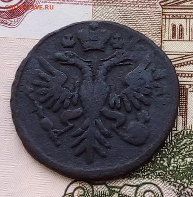 денга 1731 до 05.12.23 в 22.00 по Москве - 20231202_134053