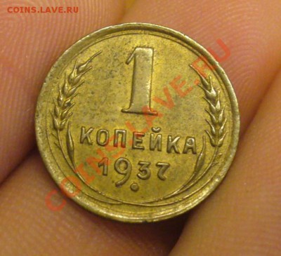 1 копейка 1937 XF До 08.01.12 в 22.00 по мск - P1190820.JPG