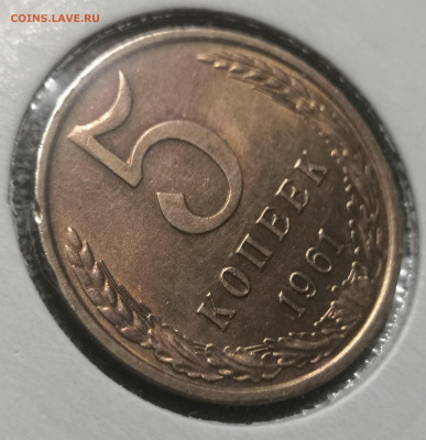 5 коп. 1961 года. Отличная. 03.12. 23 года в 22.00 по МСК. - IMG_20231203_012523
