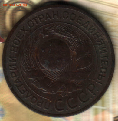 3 копейки, 1924 (7 стеблей) шт.1.2(7)А(г)  до 08.12.23 в 22. - 022 в 13_12