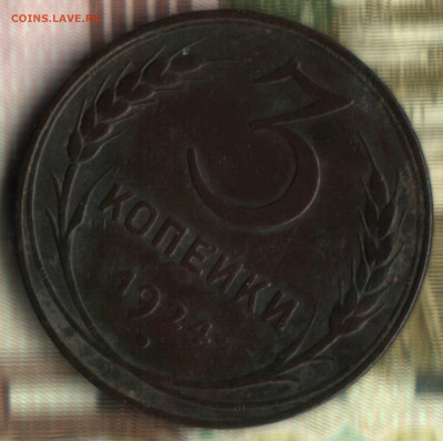3 копейки, 1924 (7 стеблей) шт.1.2(7)А(г)  до 08.12.23 в 22. - 22 в 13_14