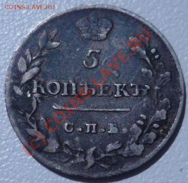 5к1813!, нечастая - P1020267.JPG