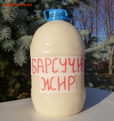 БАРСУЧИЙ ЖИР  от охотника - 2