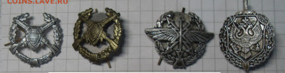 шт - SDC15882.JPG