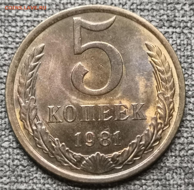5 коп. 1981 года UNC 17.12.23 года в 22.00 по МСК. - IMG_20231213_234108