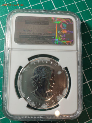 5$ MS 68 Канада Буйвол до 17.12 - IMG-20231201-WA0006