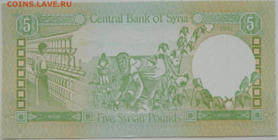 Сирия 5 фунтов 1991 г.  до 20.12.23 - DSCN8321.JPG