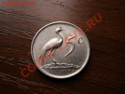 цапля до 10.01.12 в 21.00 М - IMG_1942