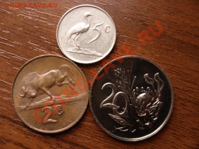 ЮАР 2-5-20 центов 1965-66 SUID Африка до 10.01.12 в 21.00 М - IMG_1955