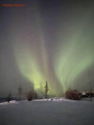 тоже 13 - photo_2023-12-15_08-31-21