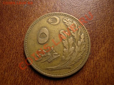 Турция 5 куруш 1922 до 10.01.12 в 21.00 М - IMG_1592