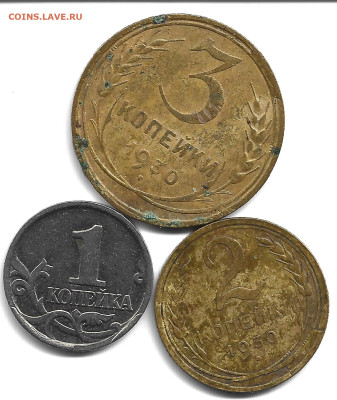 сколы 3шт. до 22.12.23г. 22-00 - Scan49