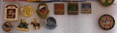 Значки различные - ассорти - 11 - фикс 100 руб - 20-12-23 - 20231217_215204