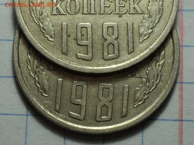 РАЗНОВИДНОСТИ  от  СЛФ - DSC03545.JPG