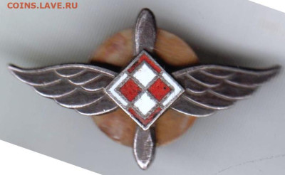 Польша,Mennica Panstwowa,  крылья, тяж  до 26.12.23 в 23.00 - 035