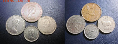 Фолкленды, фауна, 4 шт до 26.12 в 23-00 мск - IMG_7174.JPG