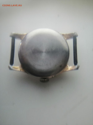 Часынаручные побела. желтые до 23.12.23 в 22-30 по МСК - IMG_20231221_100317