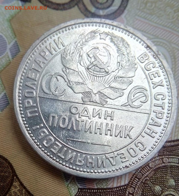 ПОЛТИННИК 1926 г. БЛЕСК  с 200    27.12.2023 г. 22-10 мск - IMG_20231222_104649---7