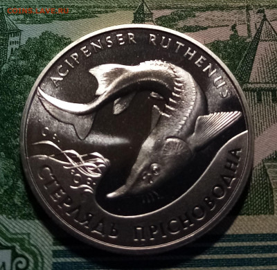 УКРАИНА 2 гр 2012 г Стерлядь с 200 до 25.12 в 22.20 мск - сп1