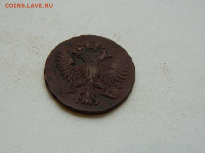 денга 1749 до 5.12.23. 22:00 - DSCN4325.JPG