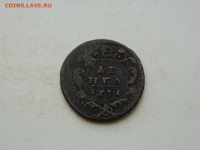 денга 1731 до 25.12.23. 22:00 - DSCN4364.JPG