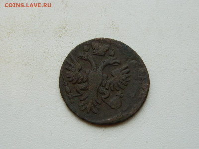 денга  1730 до 25.12.23. 22:00 - DSCN4391.JPG