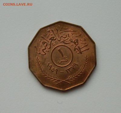 Ирак 1 филс 1959 г. до 28.12.23 - DSCN8654.JPG