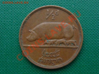 2 пенни 1953 Свинья до 12.01(21.00) - DSC06051.JPG