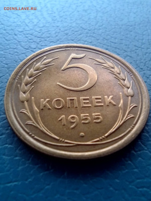 5копеек1955г - IMG_20231221_140643