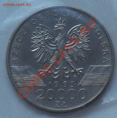 Польша 20000 злотых 1993 Ласточка до 13.01 12-00-00 МСК - 100_0488.JPG