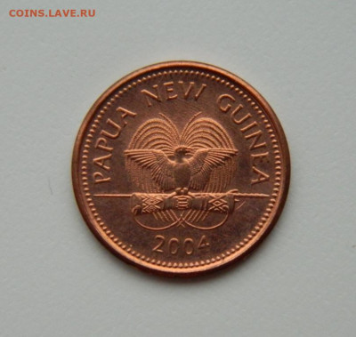 Папуа-Новая Гвинея 1 тойя 2004 г. (Фауна) до 02.01.24 - DSCN8978.JPG