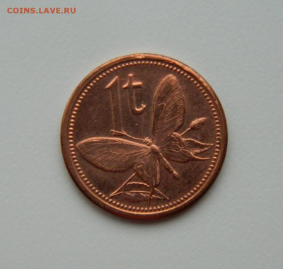 Папуа-Новая Гвинея 1 тойя 2004 г. (Фауна) до 02.01.24 - DSCN8979.JPG