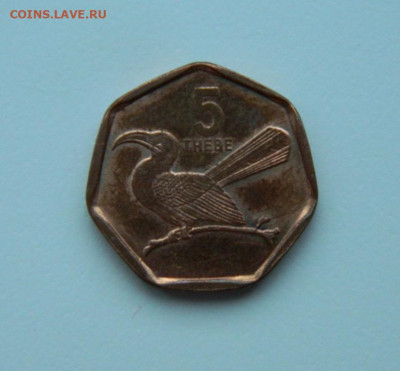 Ботсвана 5 тхебе 1998 г. (Фауна). до 03.01.24 - DSCN9041.JPG