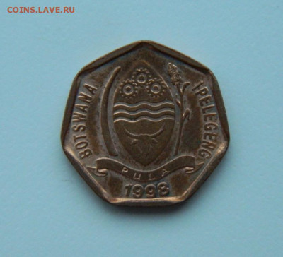 Ботсвана 5 тхебе 1998 г. (Фауна). до 03.01.24 - DSCN9042.JPG