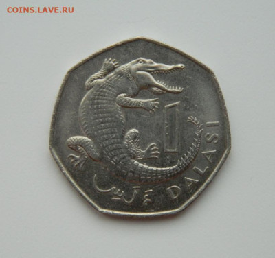 Гамбия 1 даласи 1987 г. (Фауна) Крупная! до 03.01.24 - DSCN8995.JPG