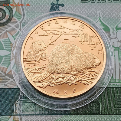 100 рублей 2008 Бобр - сегодня 29.12.2023 22:00 - 20231229_160957
