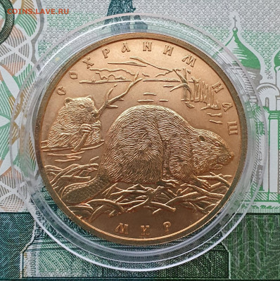 100 рублей 2008 Бобр - сегодня 29.12.2023 22:00 - 20231229_161009