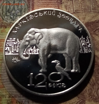 УКРАИНА 5 гр 2015 г Харьковский зоопарк до 5.01 в 22.20 мск - у1