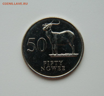 Замбия 50 нгве 1992 г. (Фауна) до 04.01.24 - DSCN9020.JPG