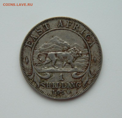 Брит. Восточная Африка 1 шиллинг 1950 г. (Фауна) до 04.01.24 - DSCN9003.JPG