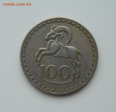Кипр 100 милс 1963 г. (Фауна) Крупная до 04.01.24 - DSCN8677.JPG