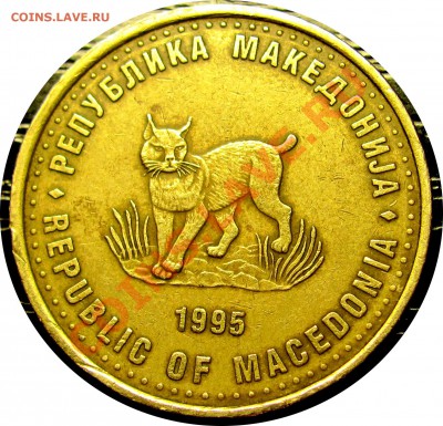 F67 Македония 5 денаров 1995 FAO до 13.01 в 22°° - F67 5 1995 FAO_2