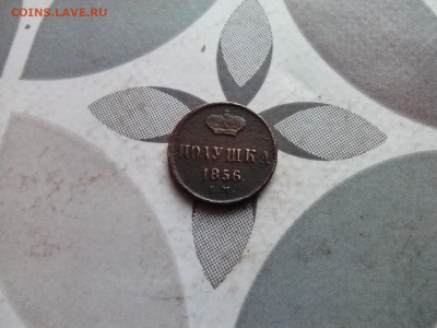 Полушка 1856 ем до 04.01.2024 - 1856 (8)