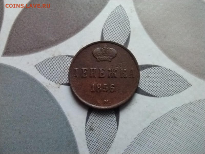 денежка 1856 ем до 06.01.2024 - 1856 (9)