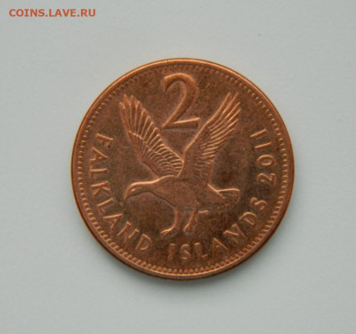 Фолклендские острова 2 пенса 2011 г. (Фауна). до 09.01.24 - DSCN9435.JPG